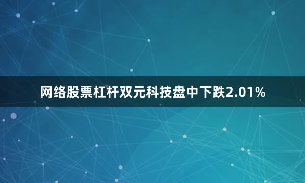 网络股票杠杆双元科技盘中下跌2.01%