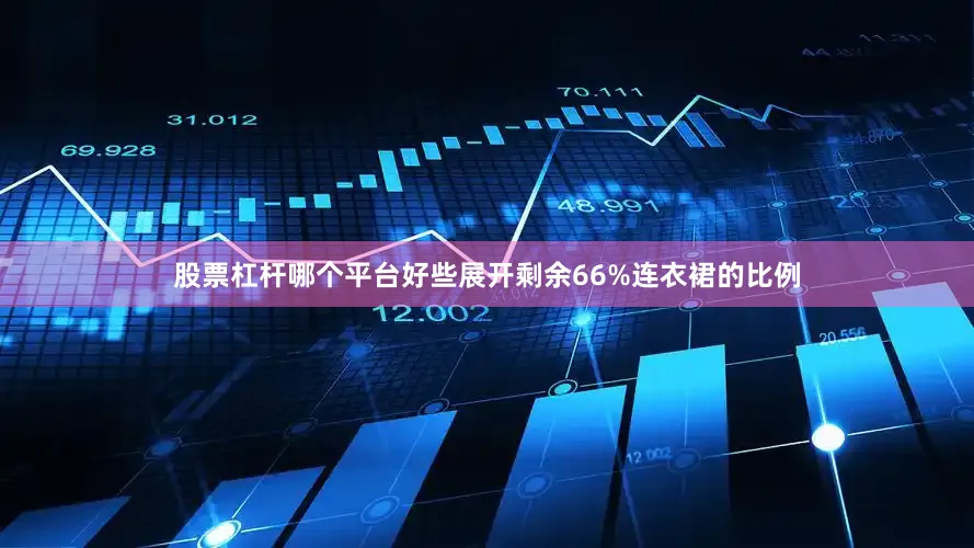 股票杠杆哪个平台好些展开剩余66%连衣裙的比例