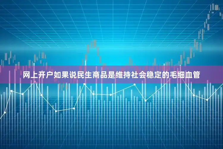 网上开户如果说民生商品是维持社会稳定的毛细血管