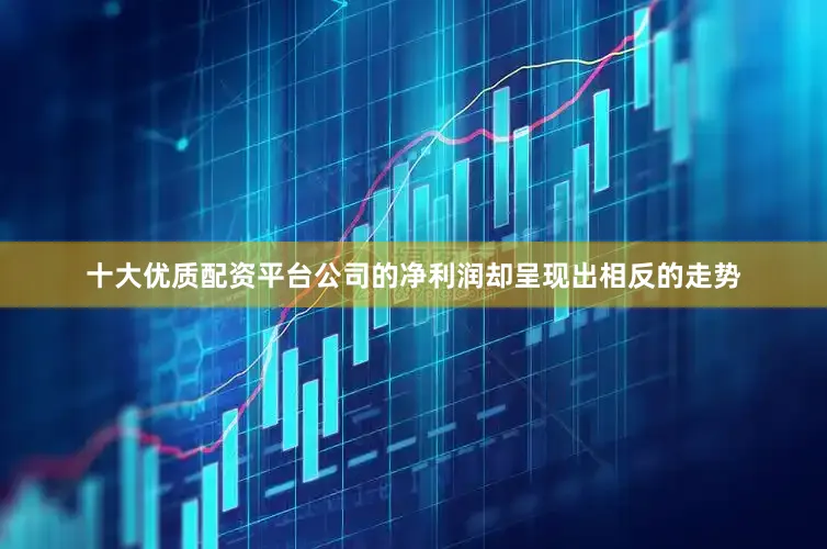 十大优质配资平台公司的净利润却呈现出相反的走势